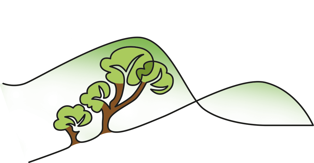 South Downs Forest School C.I.C.